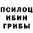 Псилоцибиновые грибы мухоморы Ulia Kordiukova