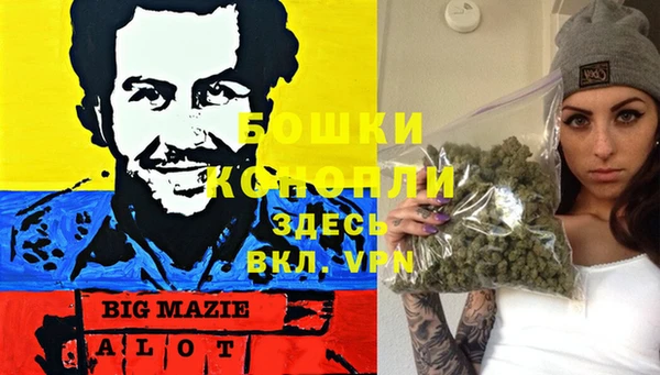 спиды Строитель