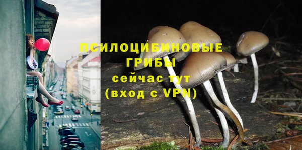 mix Сосновка